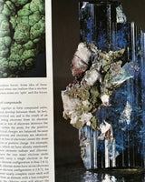 Pestil Books for vitruta Mineral and Rocks: The Worlds Most Beautiful Natural Wonders