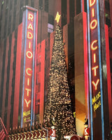 Pestil Books for vitruta New York Deco