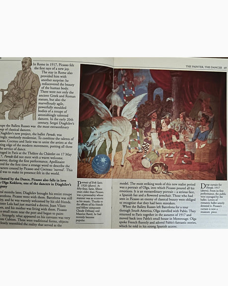 Pestil Books for vitruta Picasso