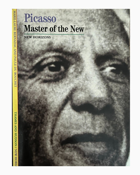Pestil Books for vitruta Picasso
