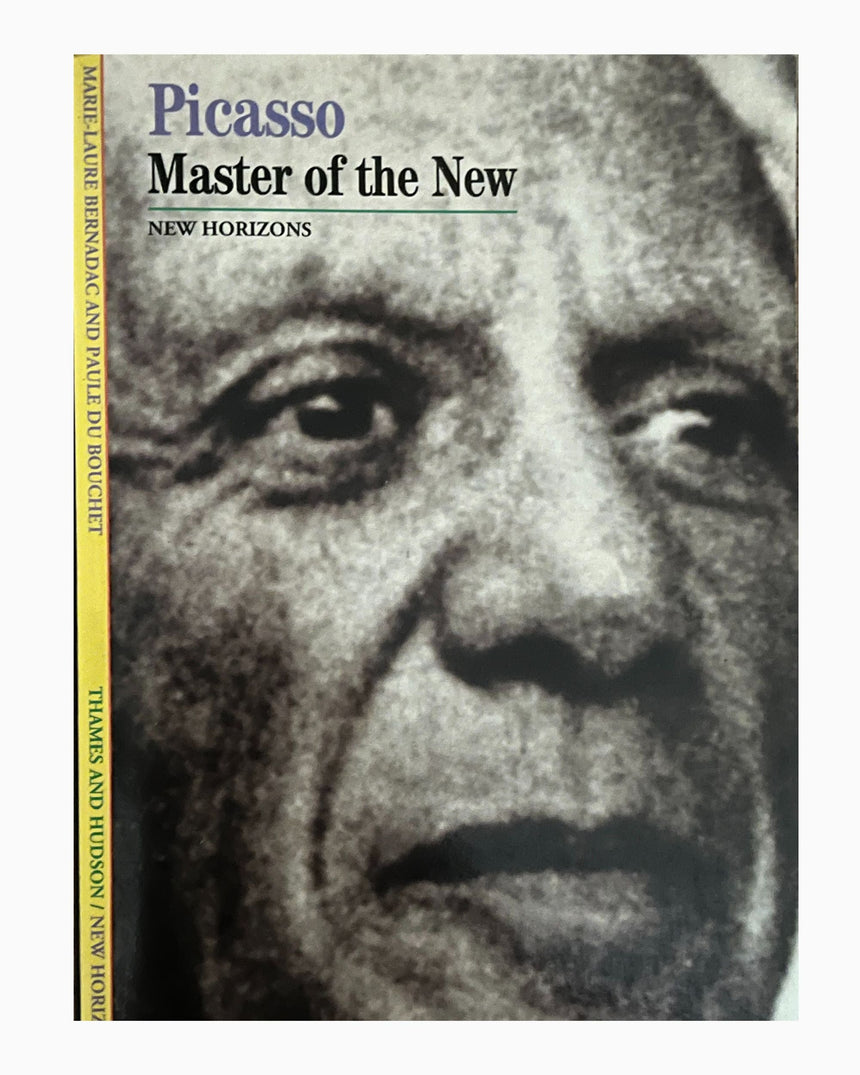 Pestil Books for vitruta Picasso
