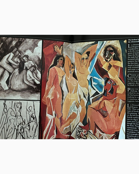 Pestil Books for vitruta Picasso
