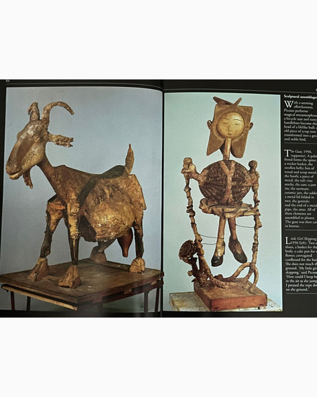 Pestil Books for vitruta Picasso