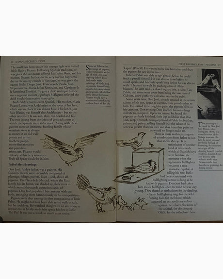 Pestil Books for vitruta Picasso