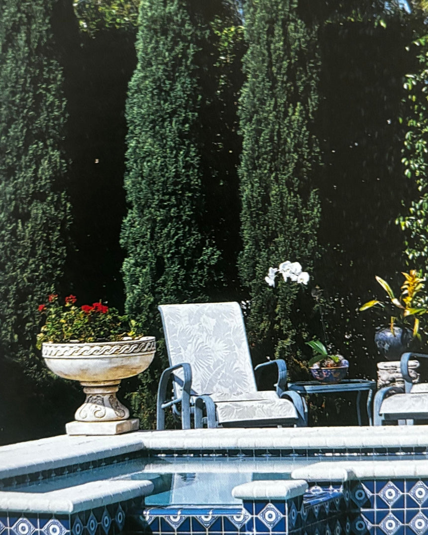 Pestil Books for vitruta Pools from the DesignSource Series
