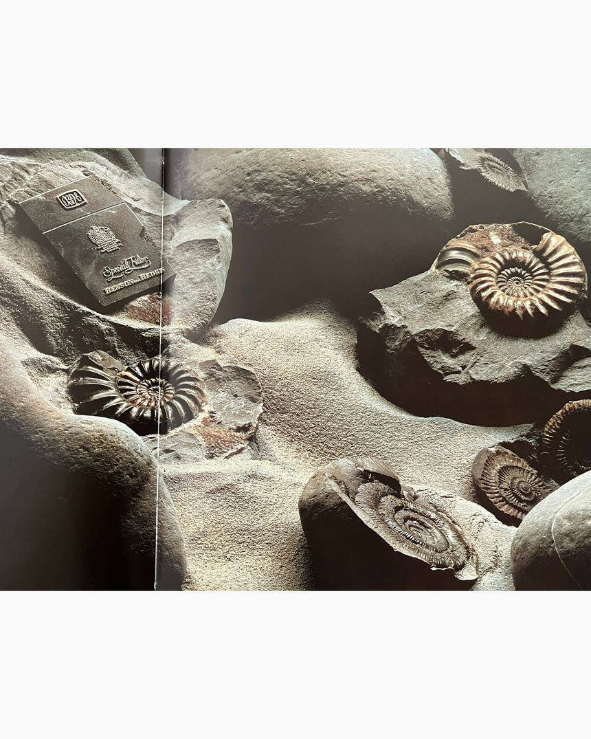 Pestil Books for vitruta Professional Advertising Photoraphy