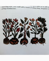 Pestil Books for vitruta The Aromatherapy & Massage Book
