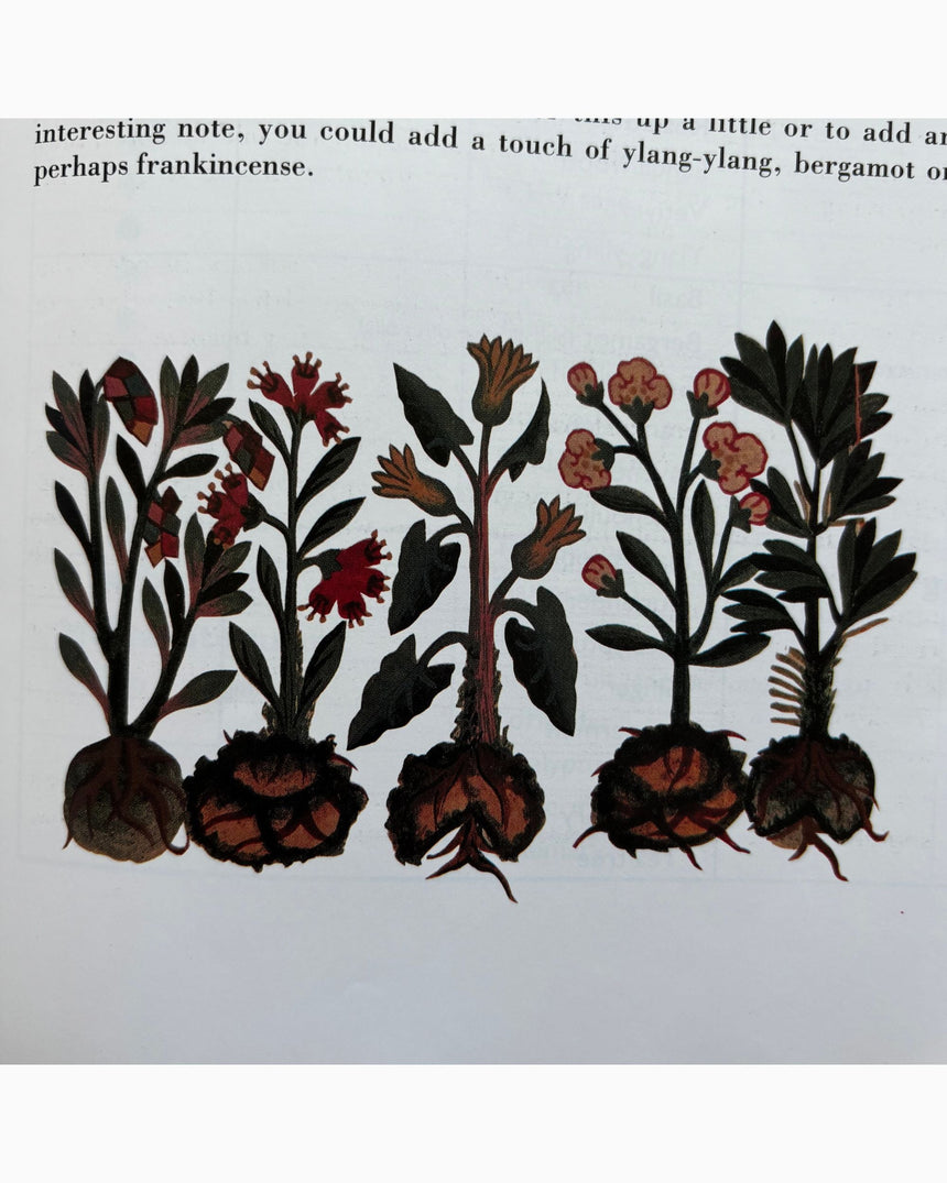 Pestil Books for vitruta The Aromatherapy & Massage Book