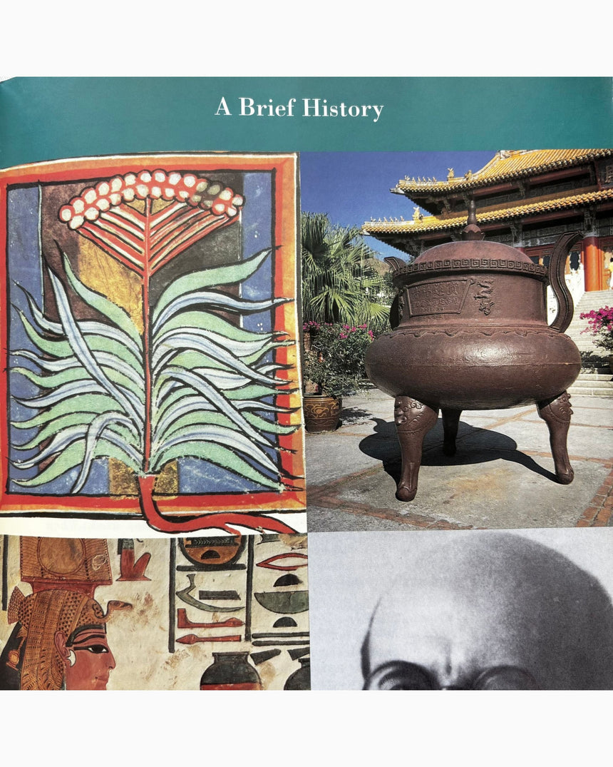 Pestil Books for vitruta The Aromatherapy & Massage Book