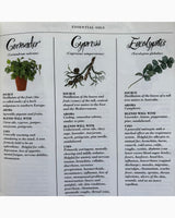 Pestil Books for vitruta The Aromatherapy & Massage Book