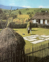 Pestil Books for vitruta The Balkans