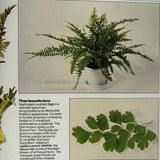Pestil Books for vitruta The House Plant Survival Manual