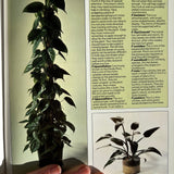 Pestil Books for vitruta The House Plant Survival Manual