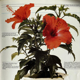 Pestil Books for vitruta The House Plant Survival Manual