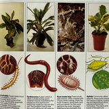 Pestil Books for vitruta The House Plant Survival Manual