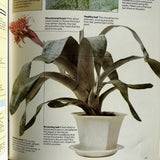 Pestil Books for vitruta The House Plant Survival Manual