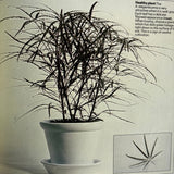 Pestil Books for vitruta The House Plant Survival Manual