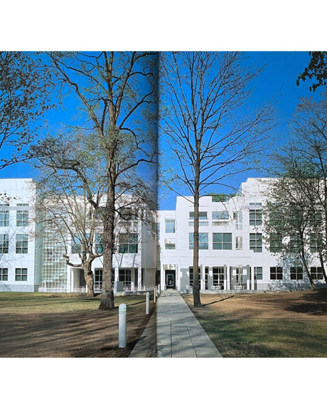 Pestil Books for vitruta The New Modern Aesthetic