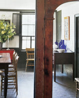 Pestil Books for vitruta The New Paint Magic