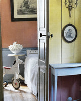 Pestil Books for vitruta The New Paint Magic
