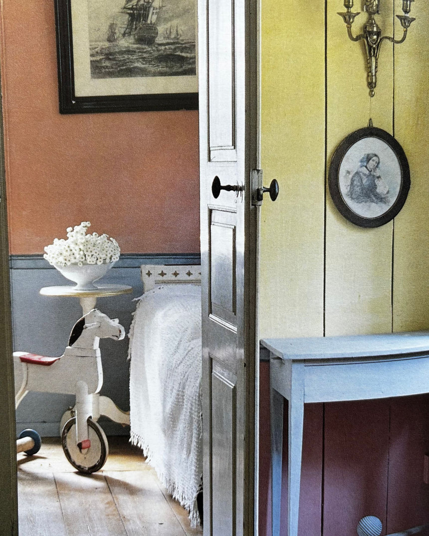Pestil Books for vitruta The New Paint Magic