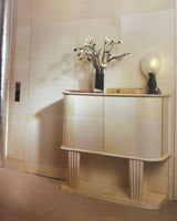 Pestil Books for vitruta The New Paint Magic