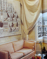 Pestil Books for vitruta The New Paint Magic