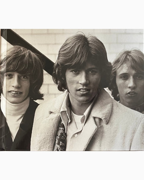 Pestil Books for vitruta Treasure of the BeeGees