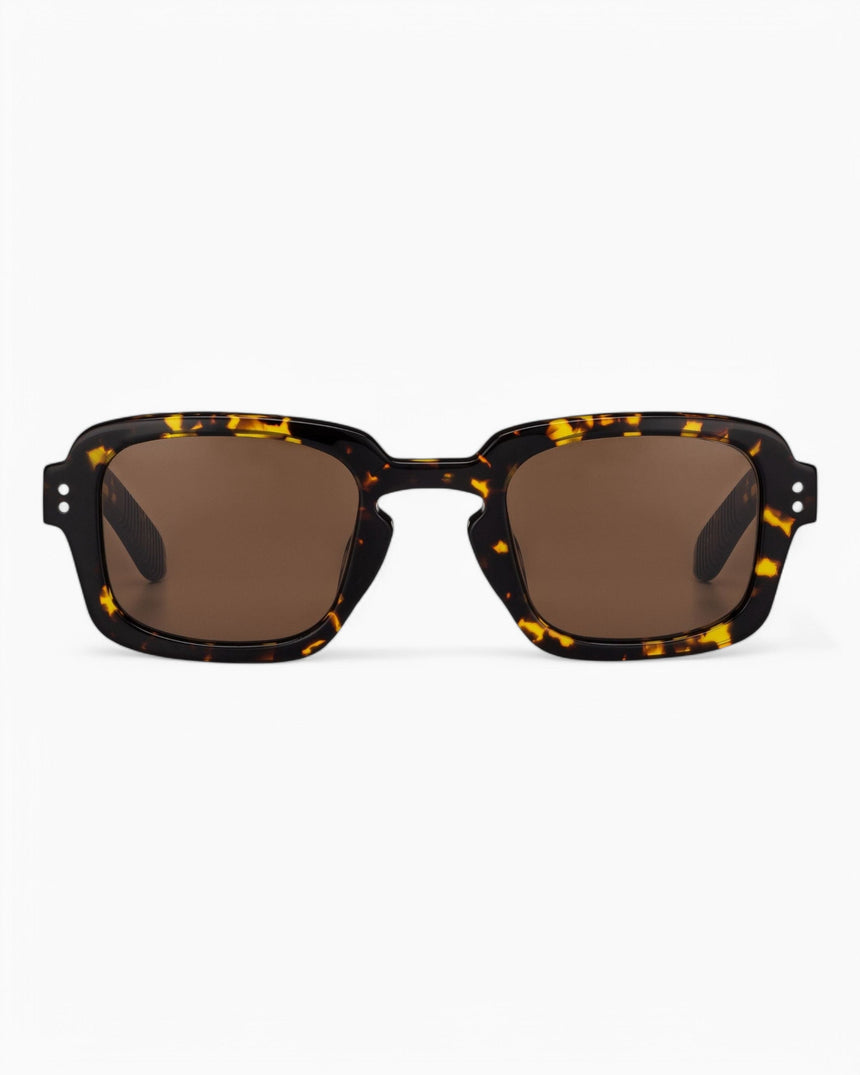 Spitfire Cut Fifteen Güneş Gözlüğü Tort/Brown