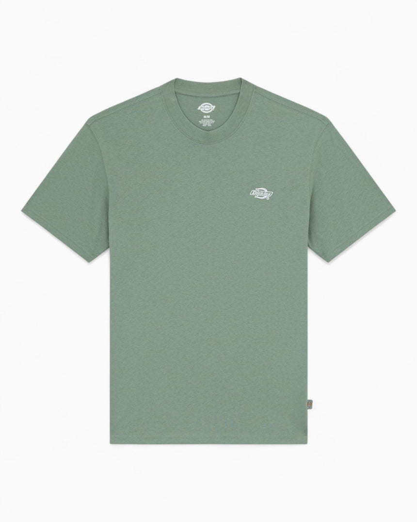 Dickies Summerdale Erkek T-Shirt Sea Spray