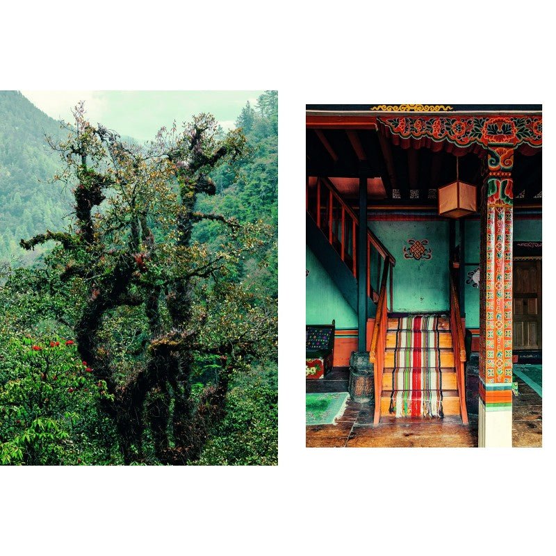 vitruta Book Selection Kinfolk Wilderness 