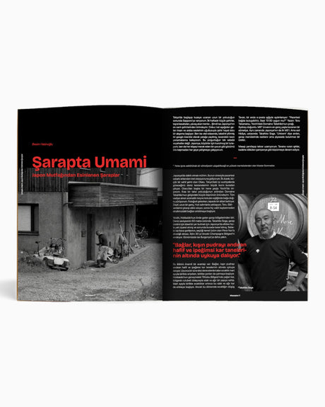 vitruta Book Selection Mizanplas #1: Japonya ve İspanya