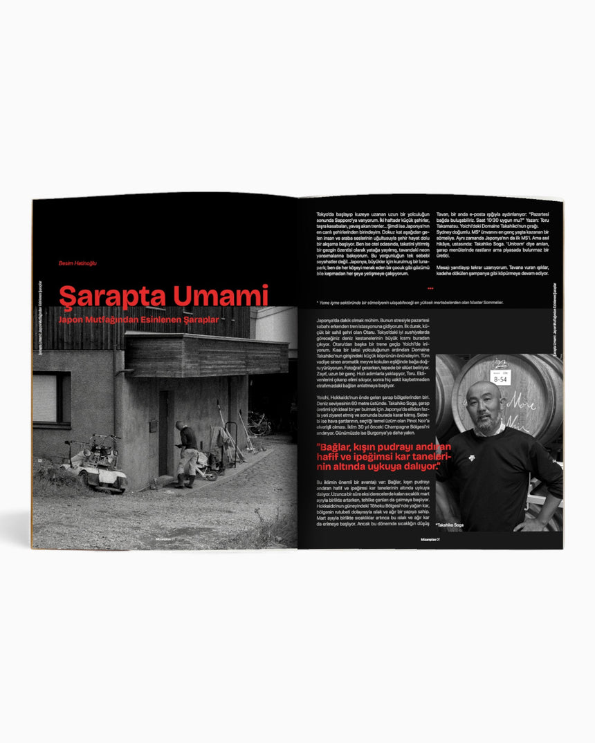 vitruta Book Selection Mizanplas #1: Japonya ve İspanya