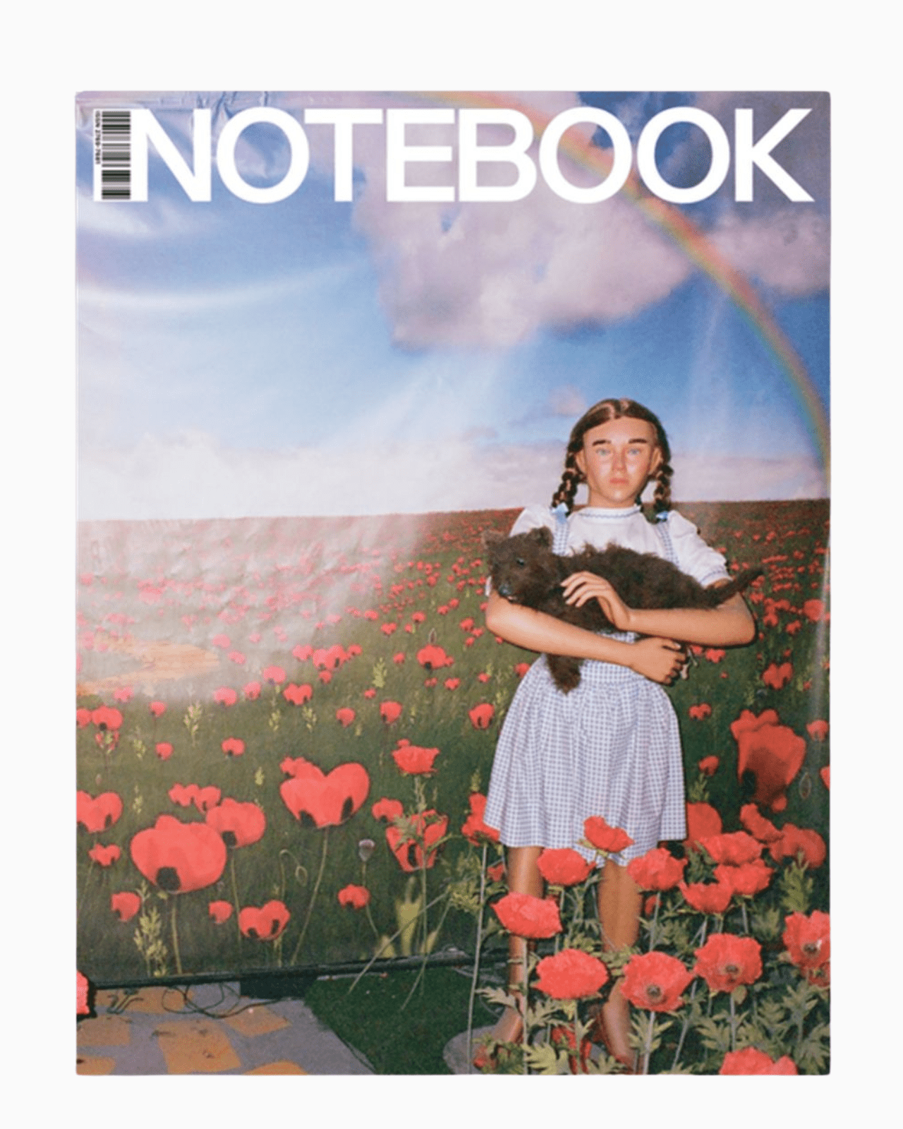 MUBI Notebook Issue - Step 1: Hold Magazine In Your Hands