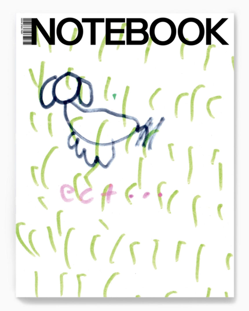 vitruta Book Selection MUBI Notebook Issue - Step 6: In The Moment Of Match-Strike