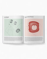 vitruta Book Selection MUBI Notebook Issue - Step 6: In The Moment Of Match-Strike