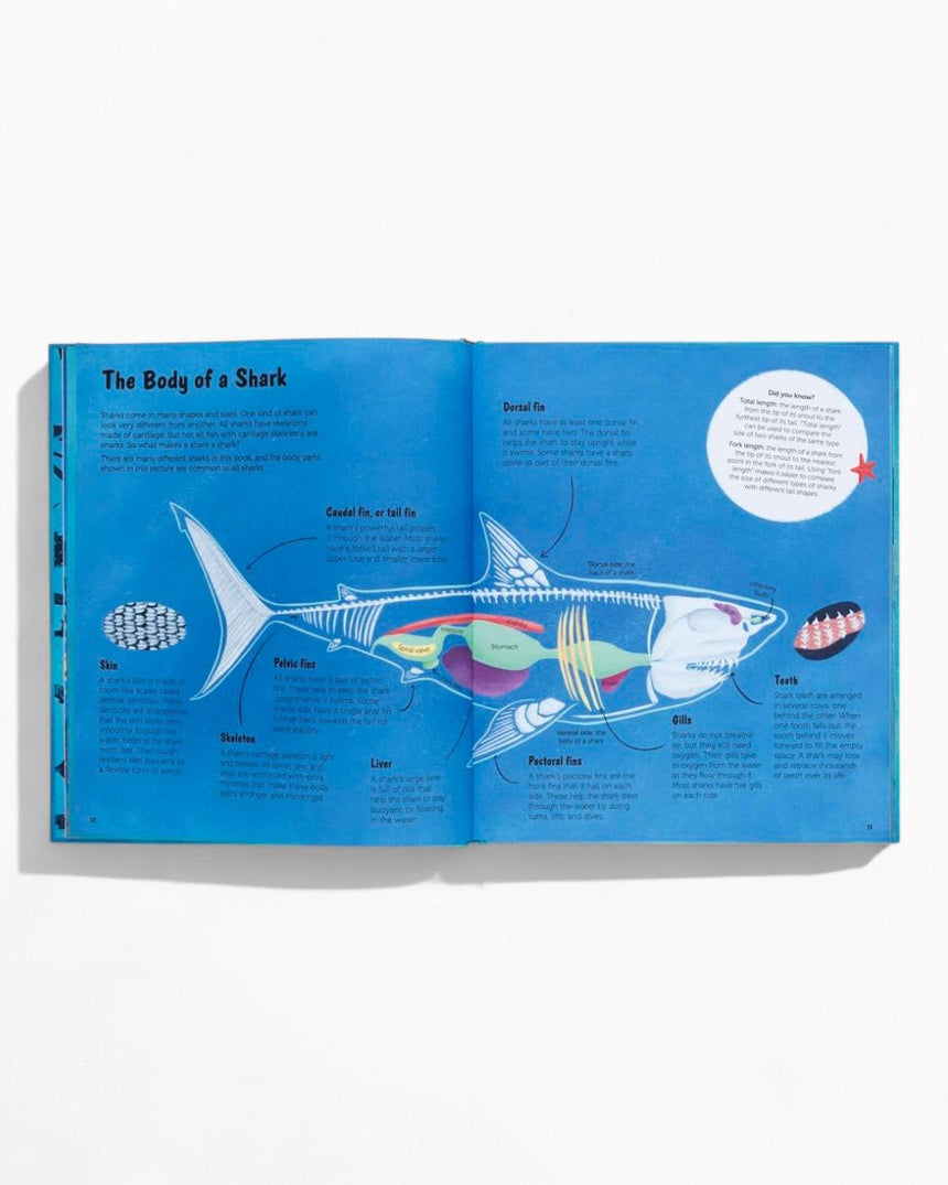 vitruta Book Selection The World of Sharks