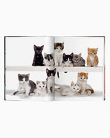 vitruta Book Selection Walter Chandoha. Cats. Photographs 1942-2018
