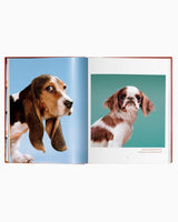 vitruta Book Selection Walter Chandoha. Dogs. Photographs 1941–1991