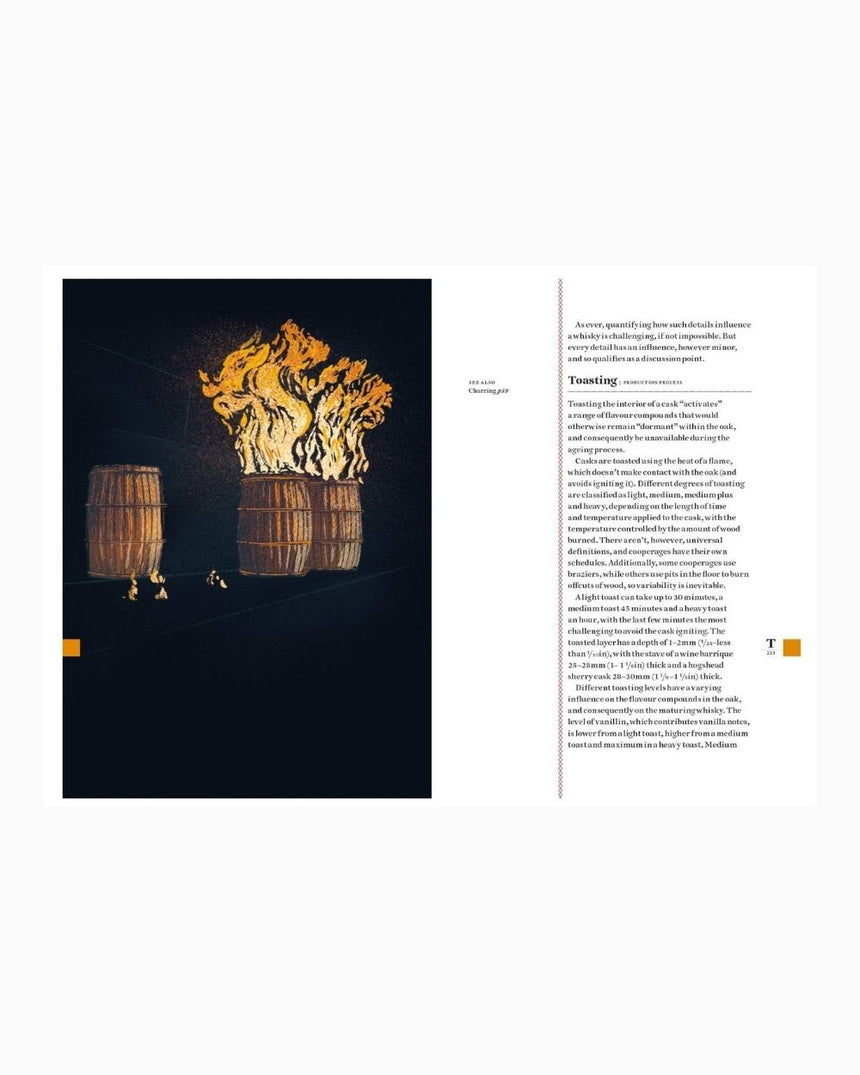 vitruta Book Selection Whisky Dictionary
