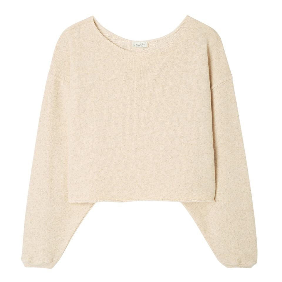 Sweat shirt american vintage online