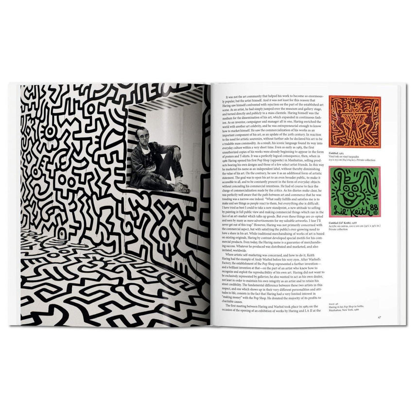 vitruta Book Selection Haring - Basic Art Series 