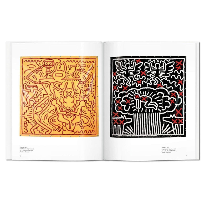 vitruta Book Selection Haring - Basic Art Series 