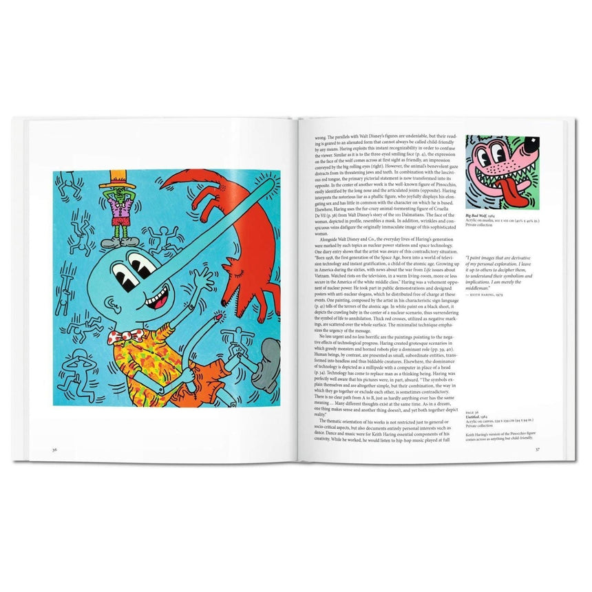 vitruta Book Selection Haring - Basic Art Series 